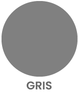 Auto color gris